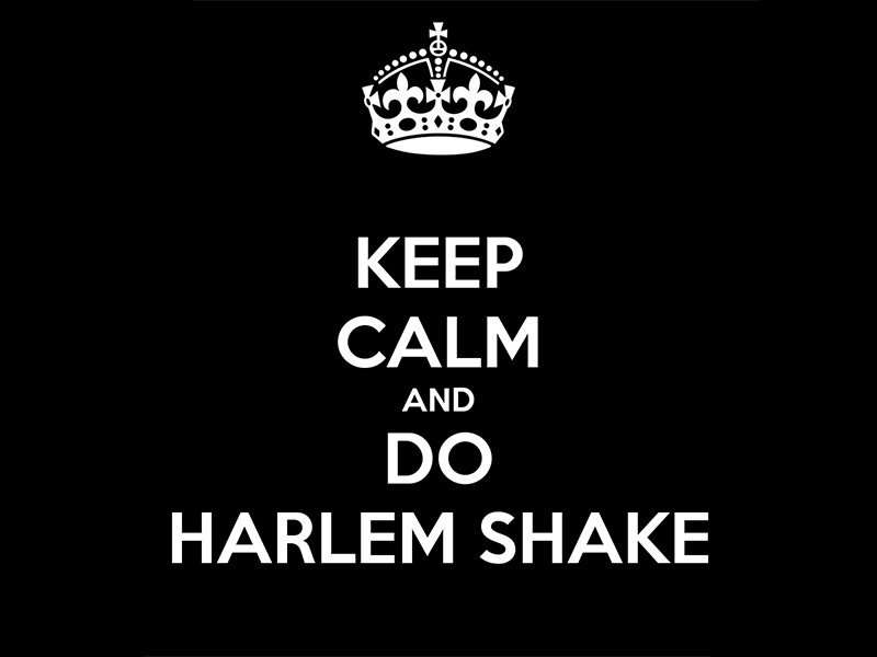 DO THE HARLEM SHAKE!