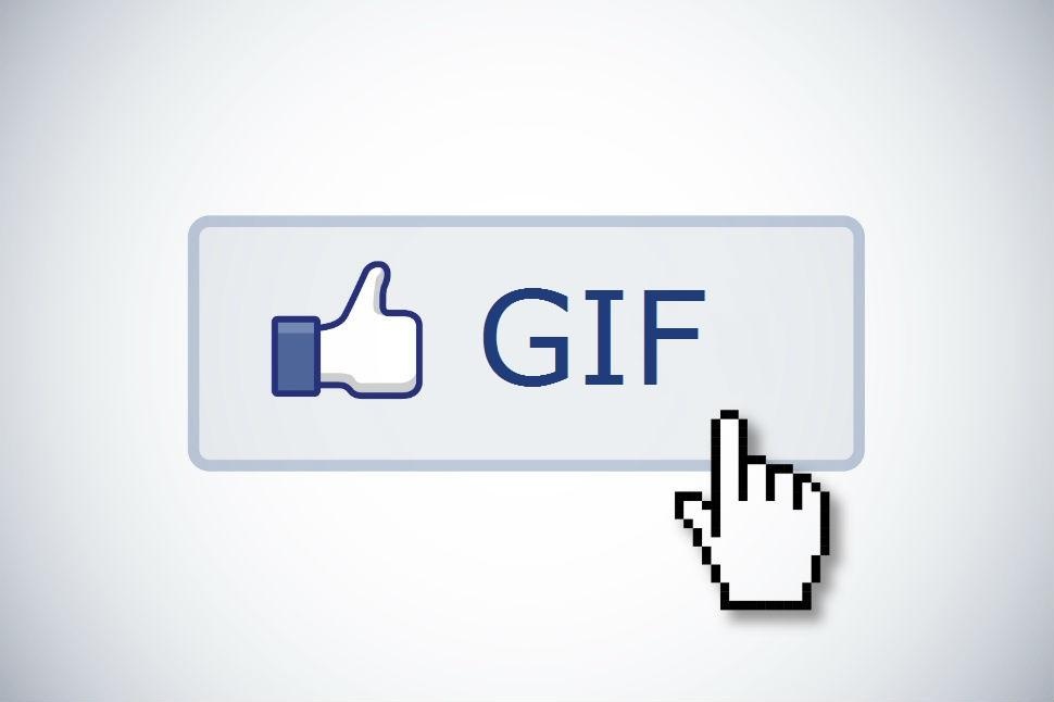Facebook supports GIFs, yet again.